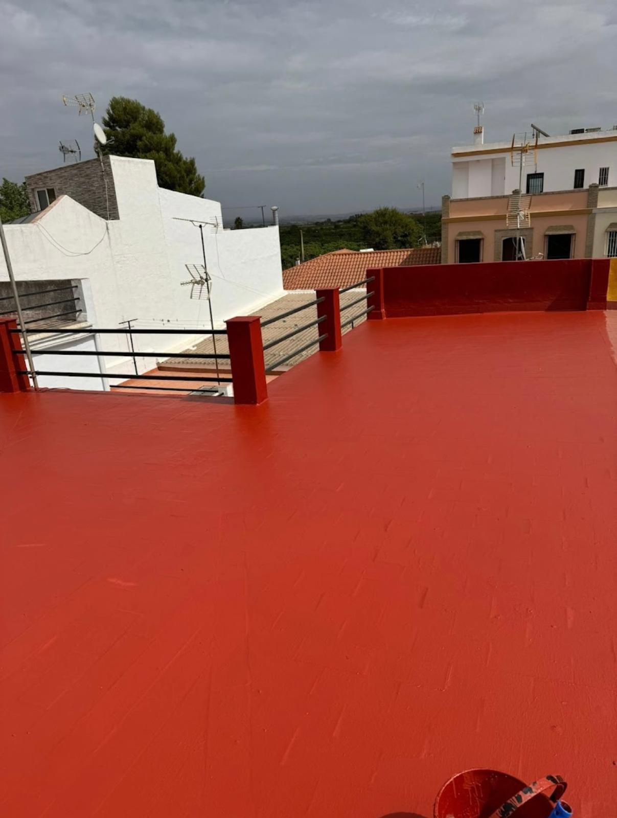 WhatsApp Image 2026-01-31 at 11.37.21