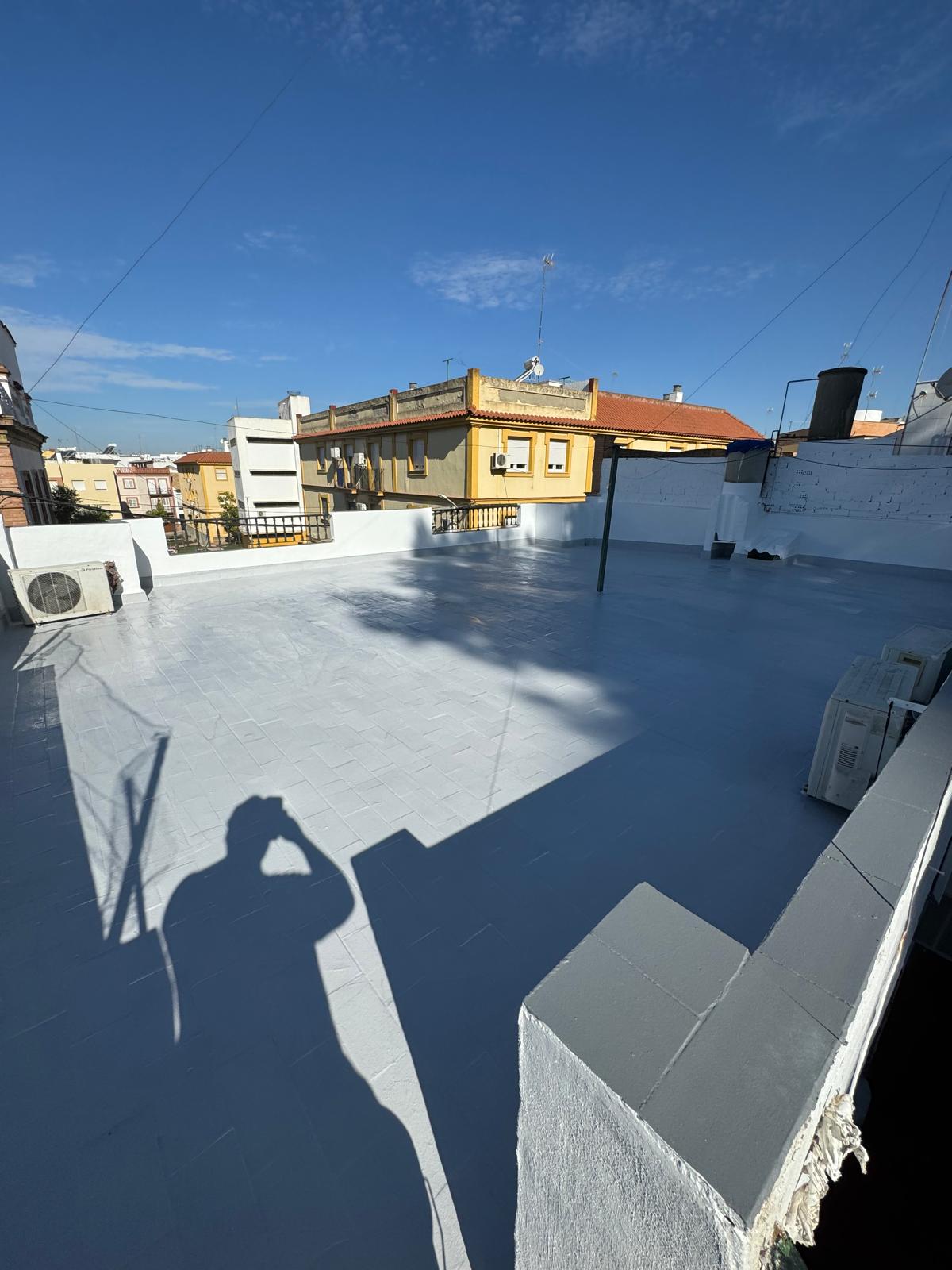 WhatsApp Image 2026-01-31 at 11.38.39