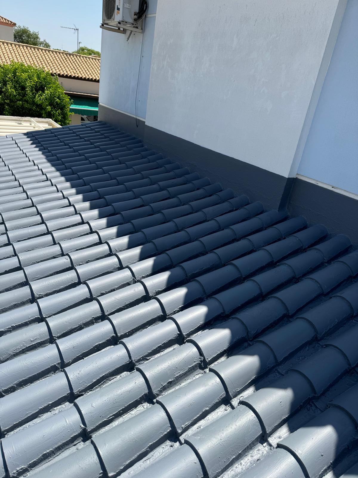 WhatsApp Image 2026-01-31 at 11.45.34